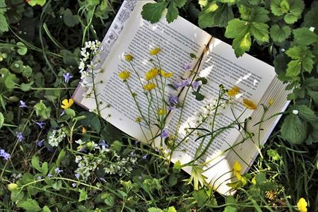Des mots dans la nature