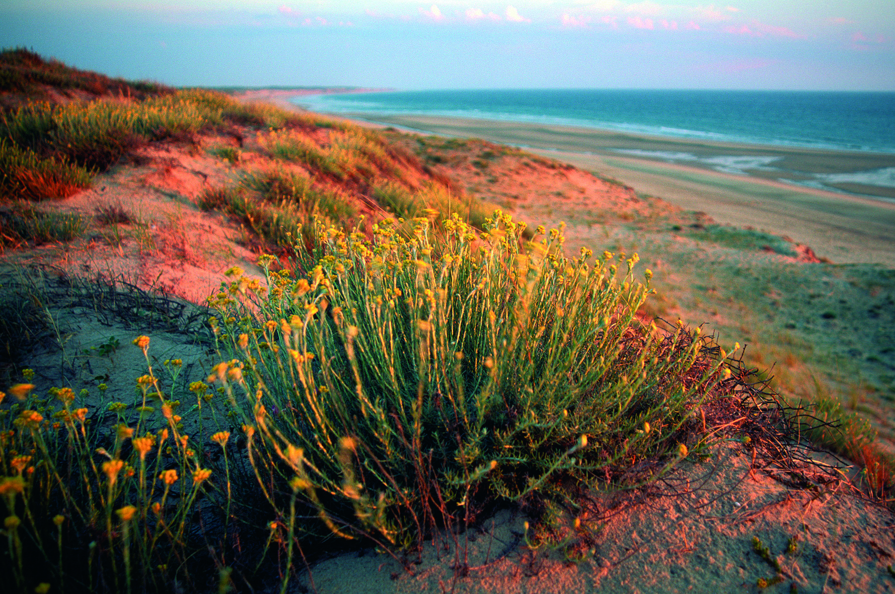La Soulacaise, Soulac-sur-Mer - photo 4