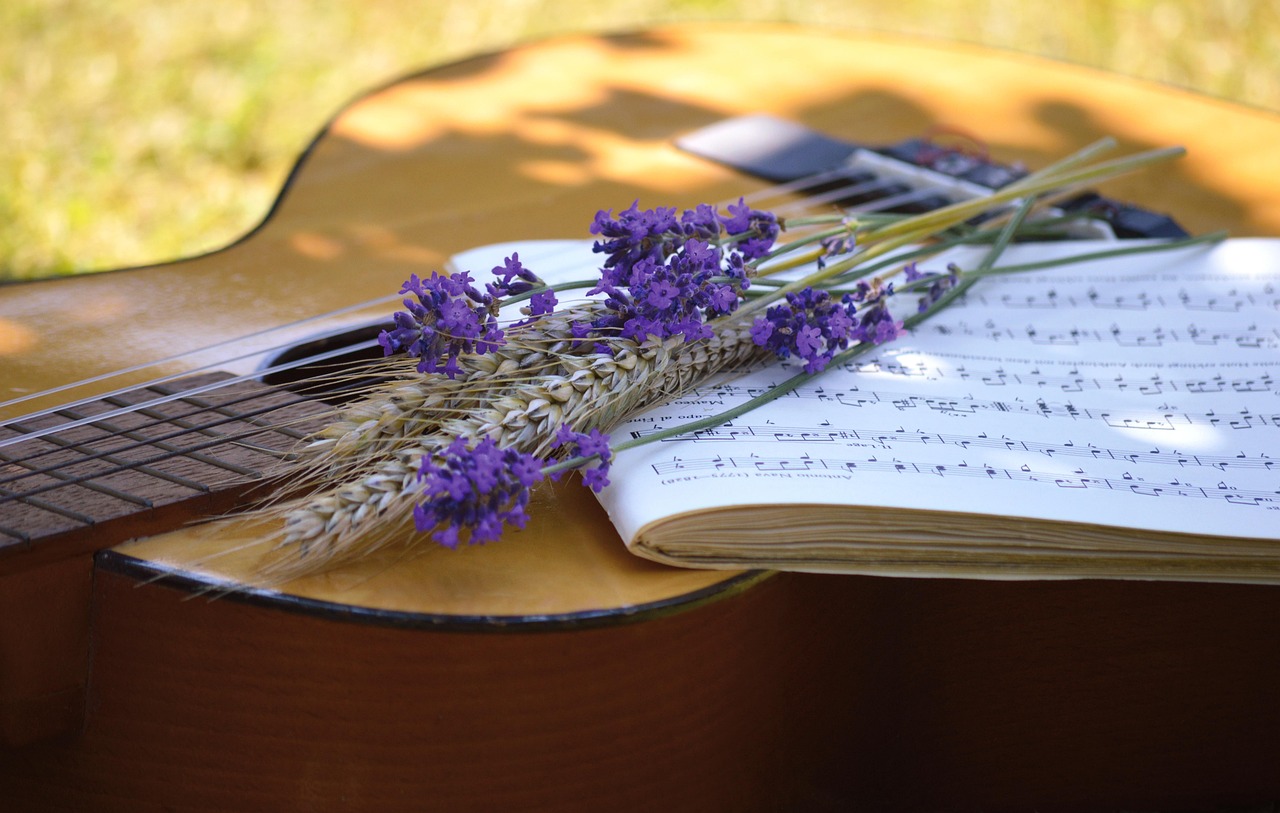 Concert : McKenzie