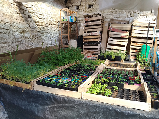 EARL Hapozeme - photo 4