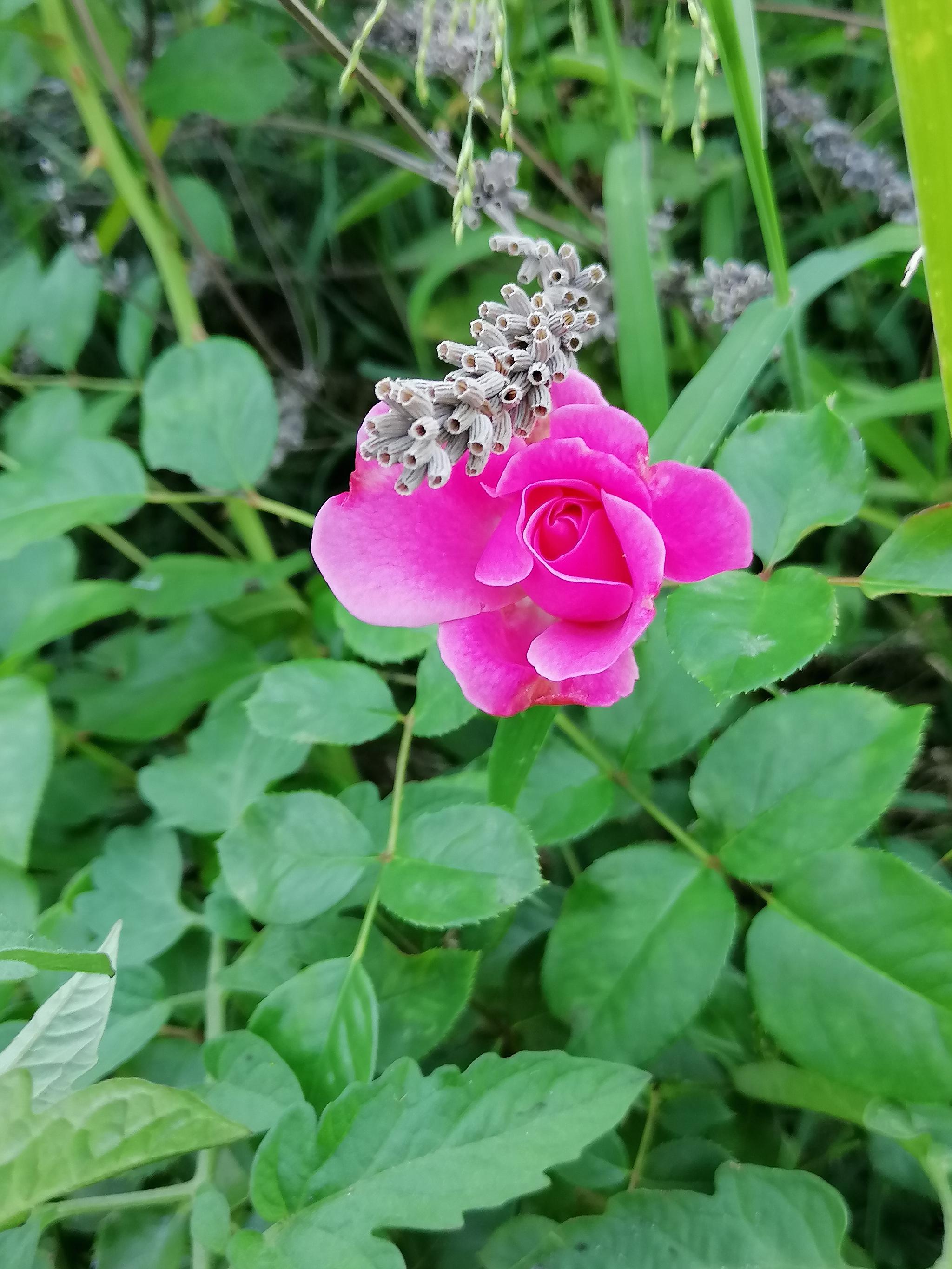 Chambres d'hôtes Les Callunes, Lanton - photo 10