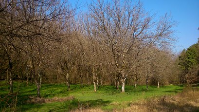 Boucle de La Roche, Thenon - photo 3