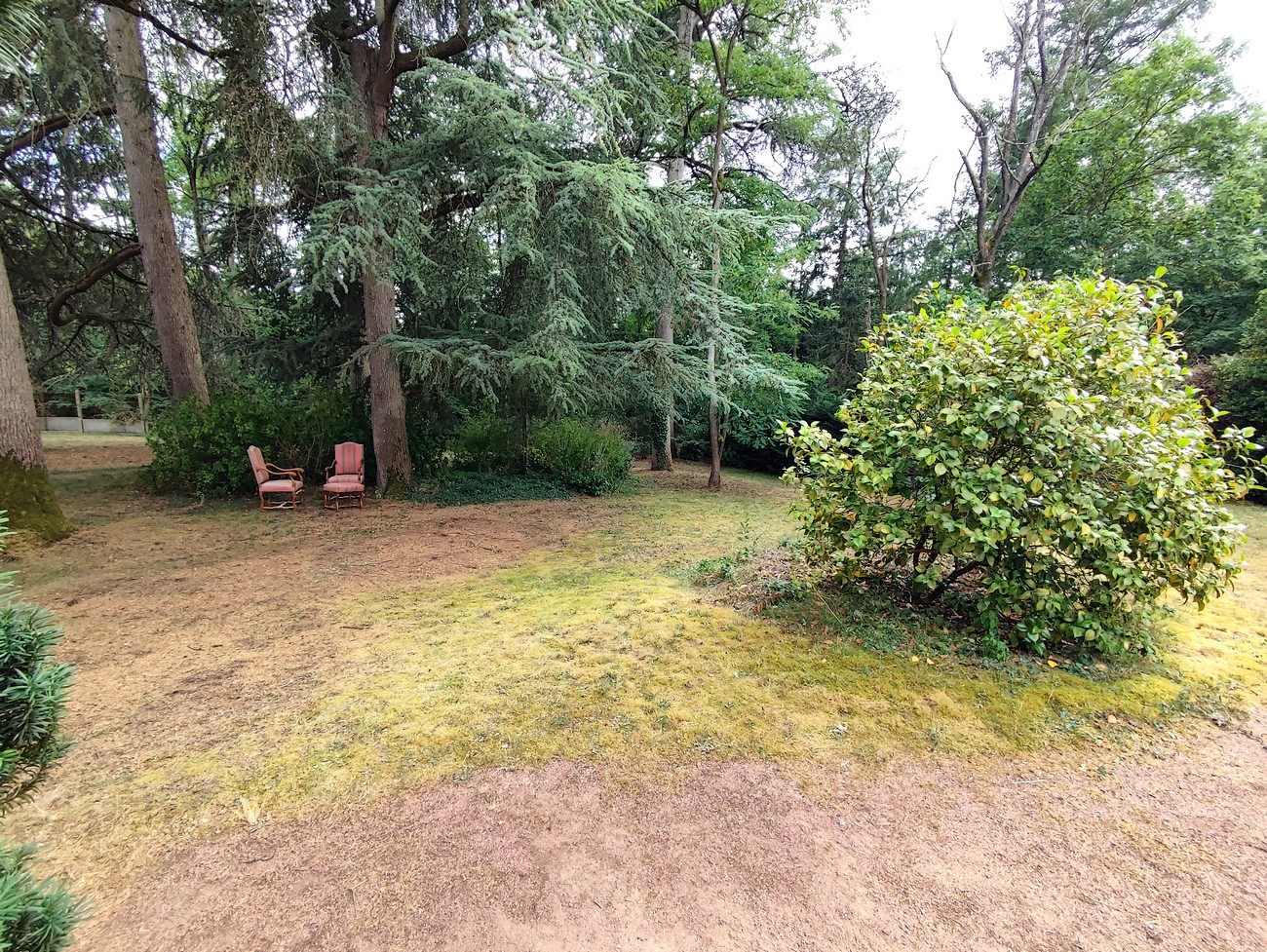 Gîte Le 45 Tours, Nueil-les-Aubiers - photo 17