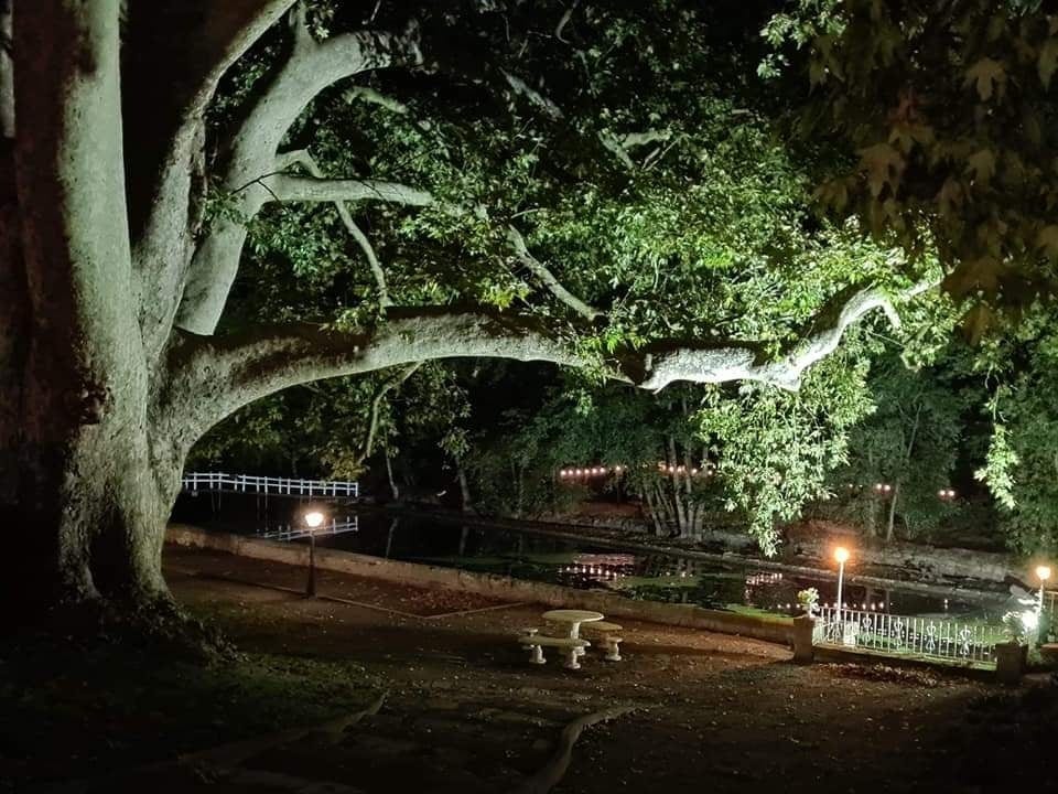 Le Logis de Mauzay - Le LM, Échiré - photo 10