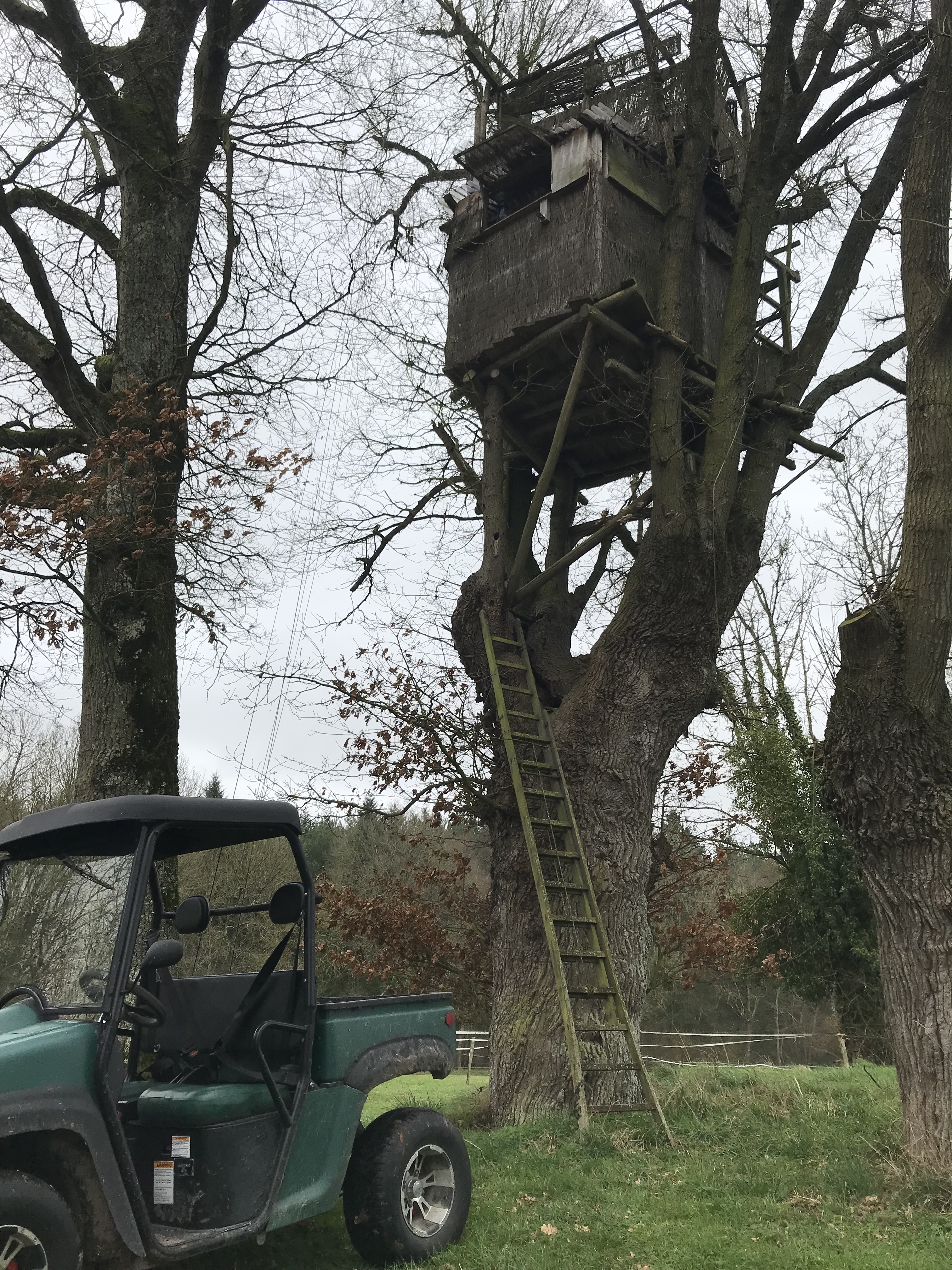Gîte l'Albatros, Bressuire - photo 12