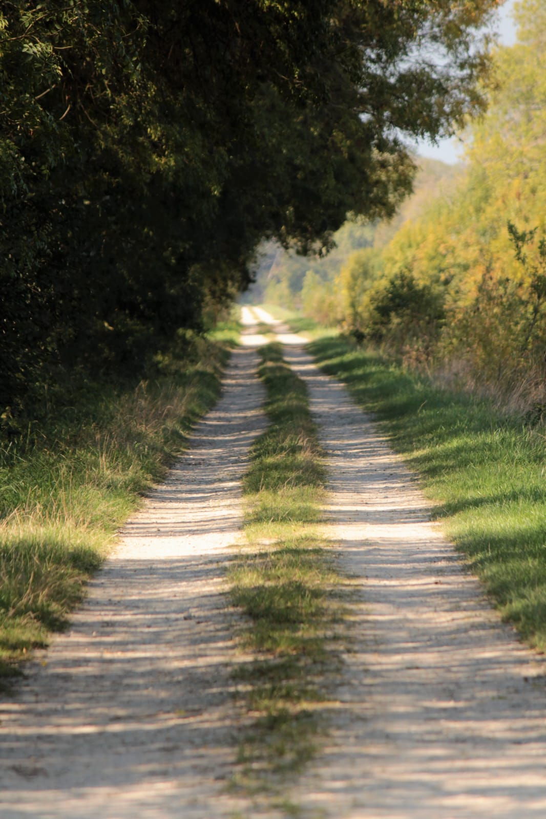 O'cœur du Médoc, Saint-Julien-Beychevelle - photo 7