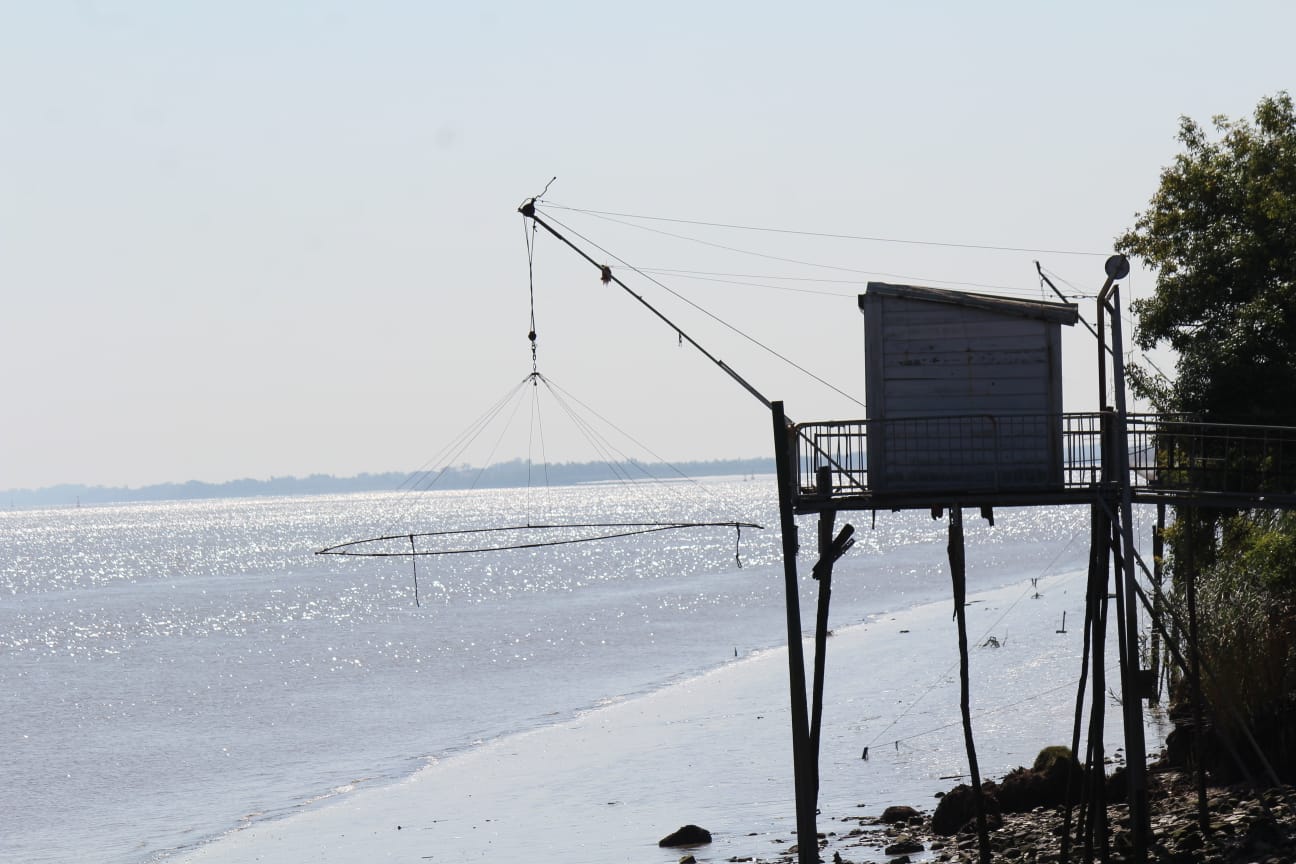 O'cœur du Médoc, Saint-Julien-Beychevelle - photo 15