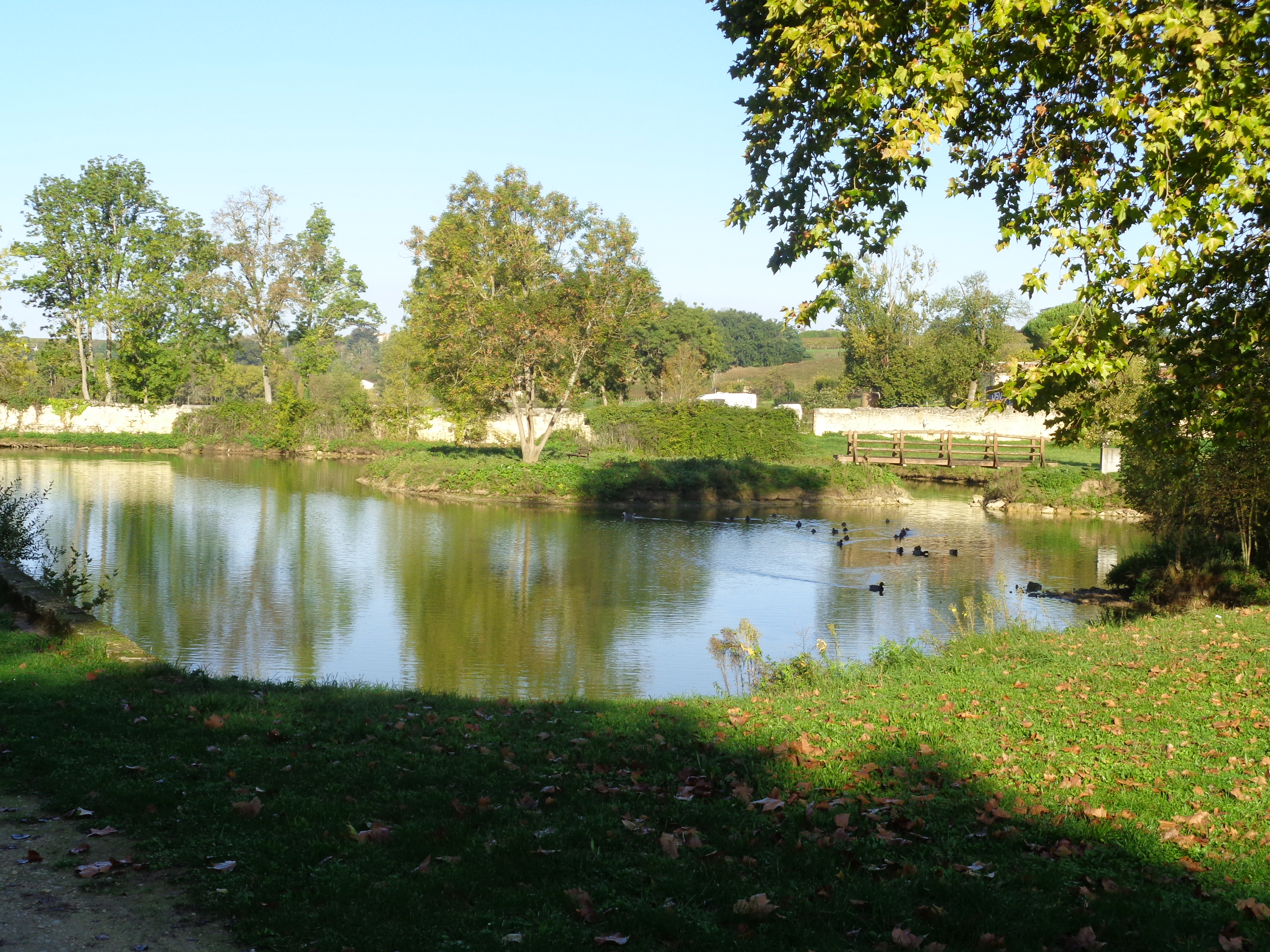 Balades à roulettes : Bourg-sur-Gironde, Bourg