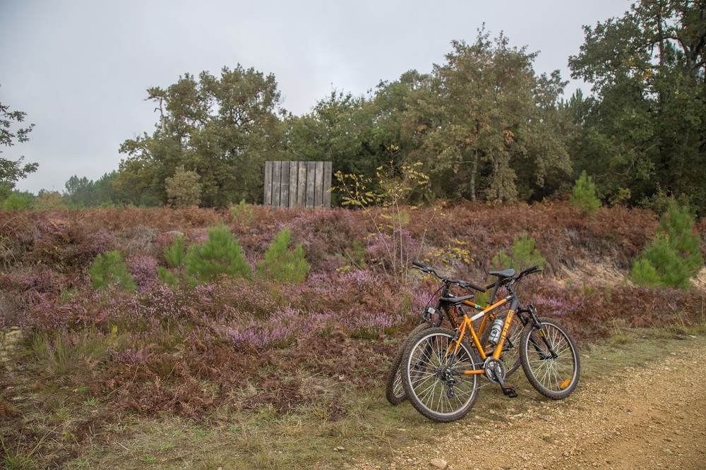 La Forêt d'Art Contemporain : Aux impétueuses manoeuvres de l'imprévu, oeuvre n°02, Garein