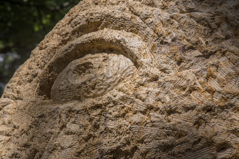 La Forêt d'Art Contemporain : Saint Georges et son dragon de compagnie, œuvre n°22, Bélis - photo 3