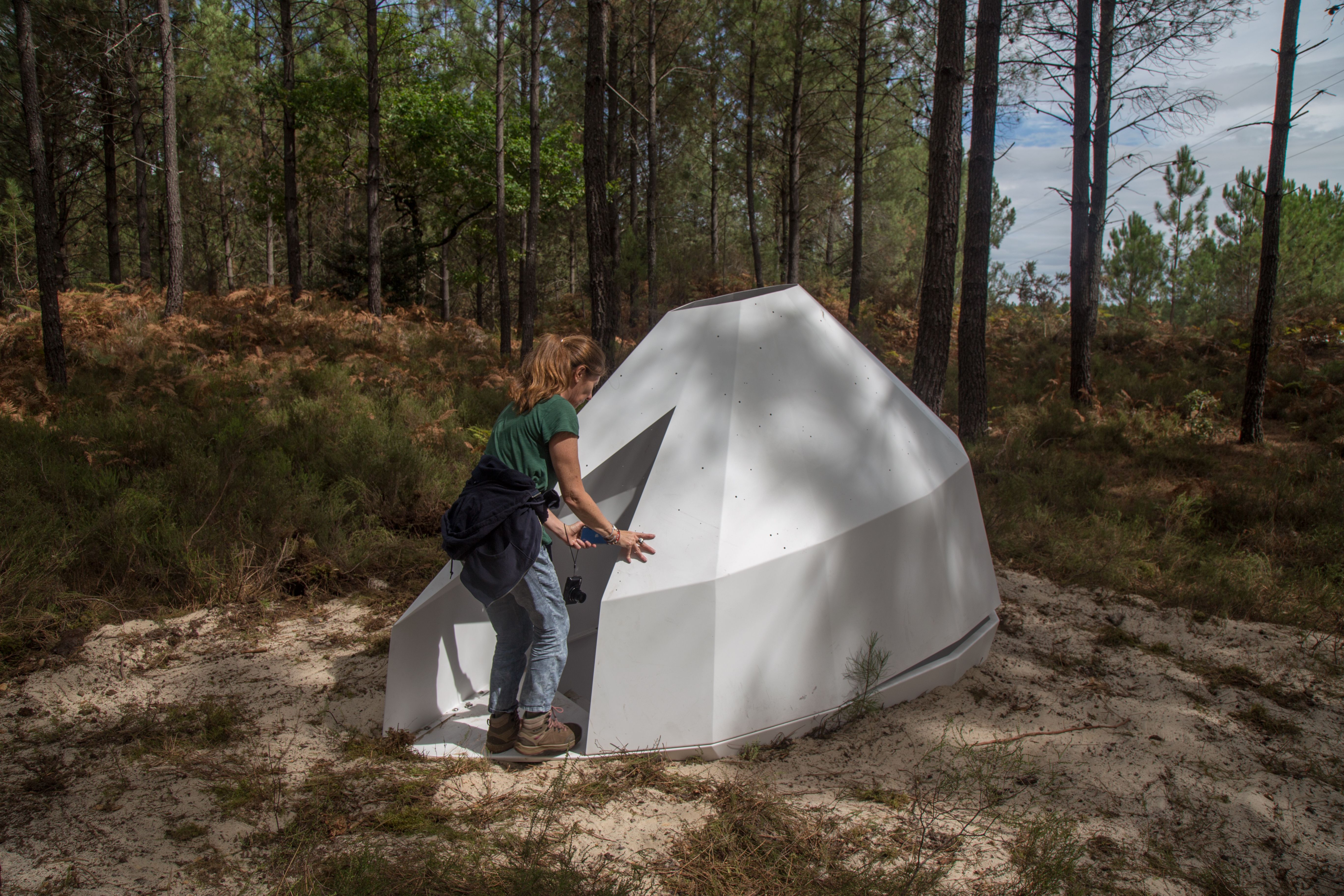 La Forêt d'Art Contemporain : La Constellation Cazalis, oeuvre n°26