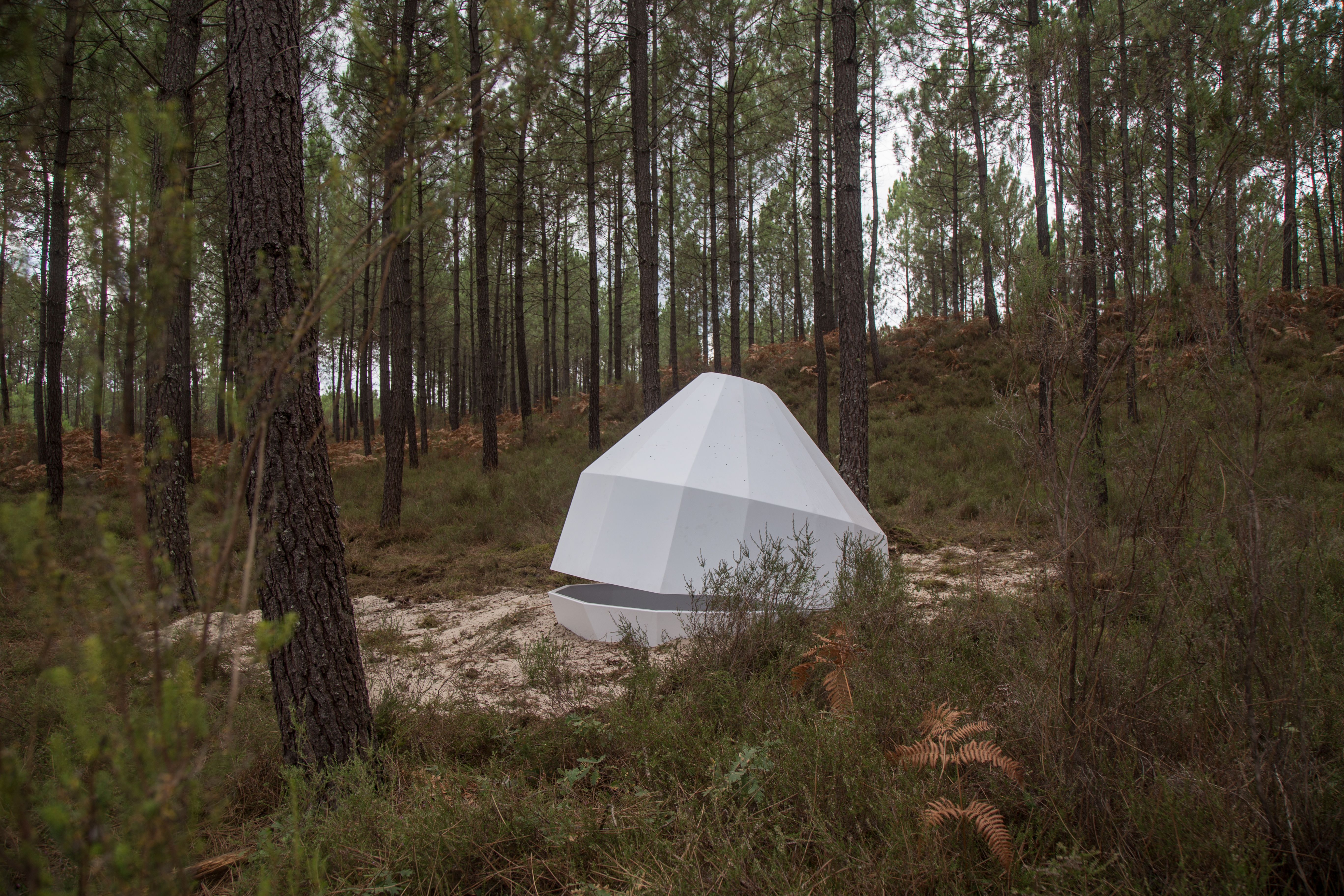 La Forêt d'Art Contemporain : La Constellation Cazalis, oeuvre n°26, Cazalis - photo 2
