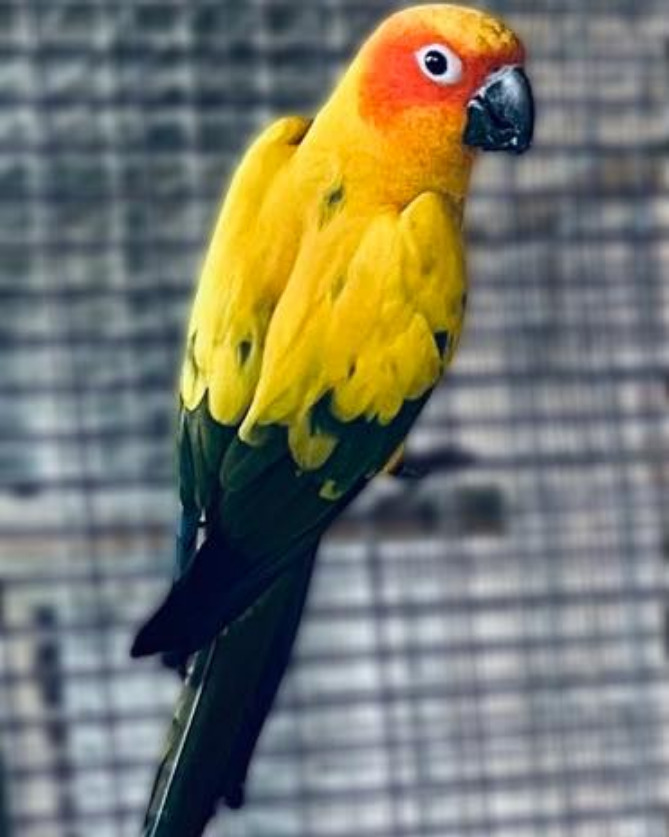 Parc du Touron, Campsegret - photo 6