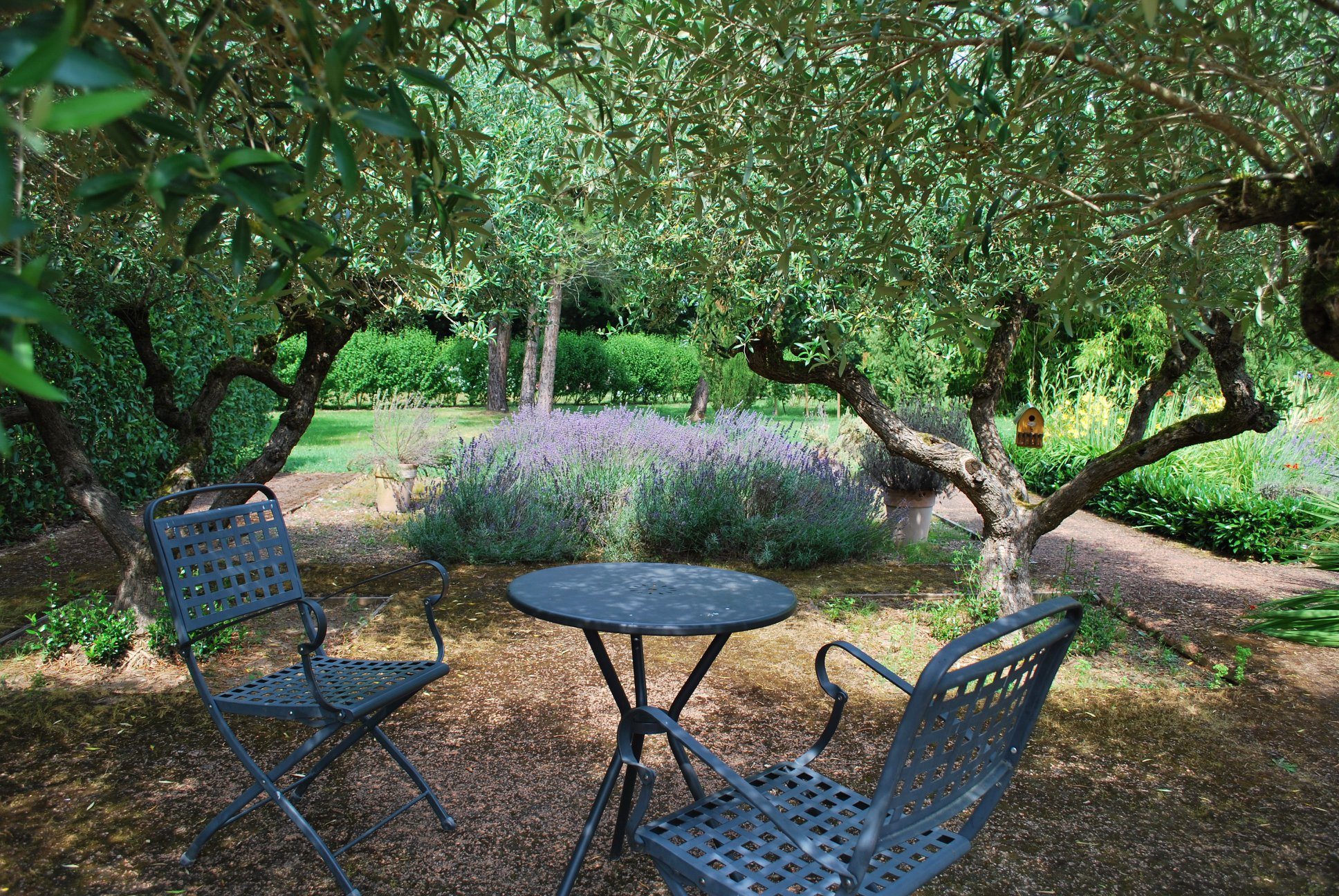 Les Jardins de Colette et son labyrinthe, Varetz - photo 9