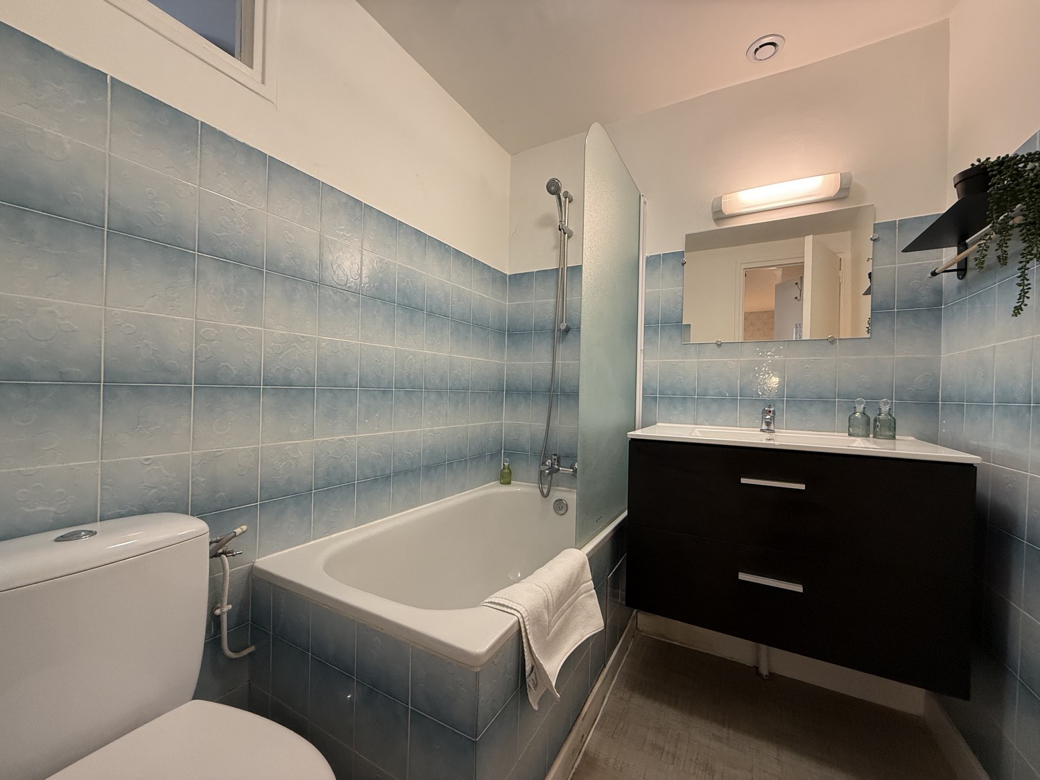 L'Ombre du Mimosa - photo 2