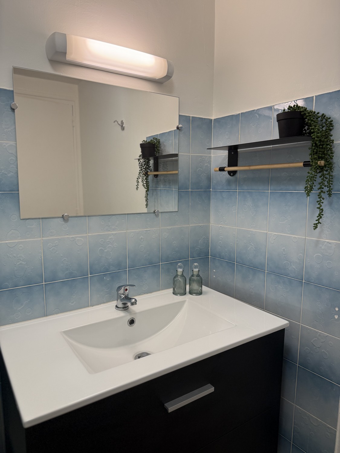 L'Ombre du Mimosa - photo 5