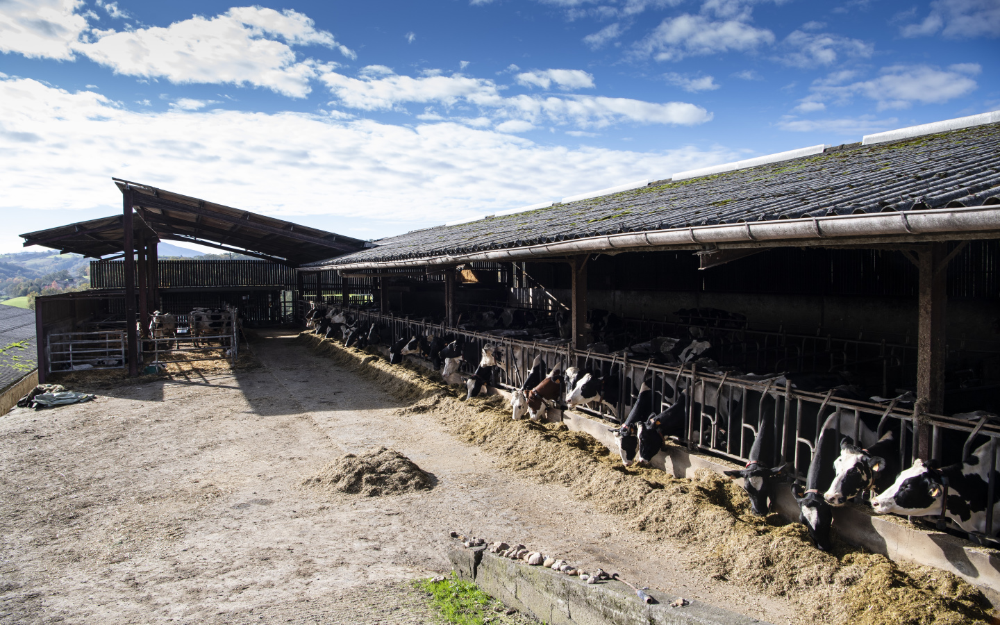 On va bien s' Marais ! - ferme pédagogique, La Bastide-Clairence - photo 6