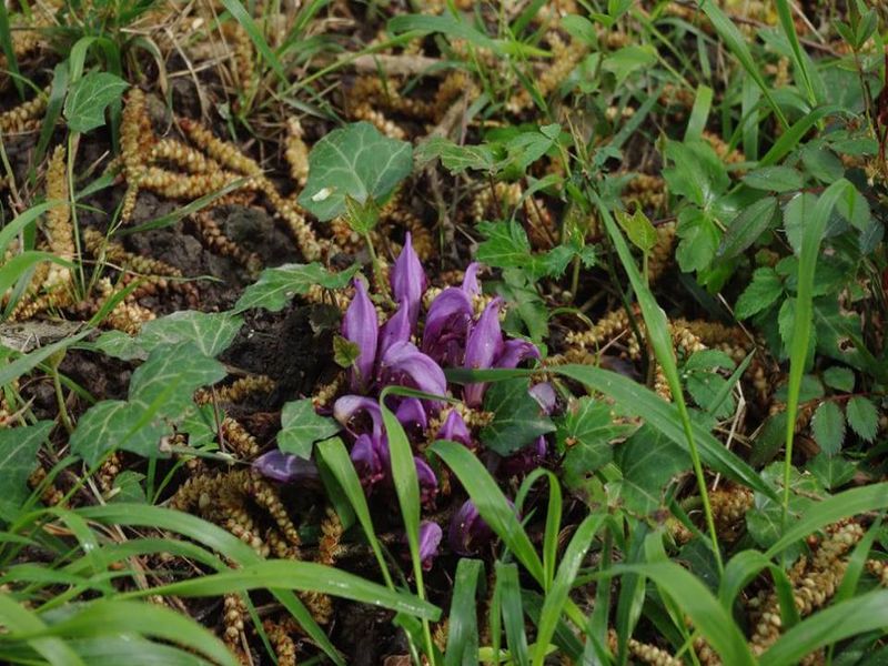 Boucle vélo n°10 Auros - photo 5