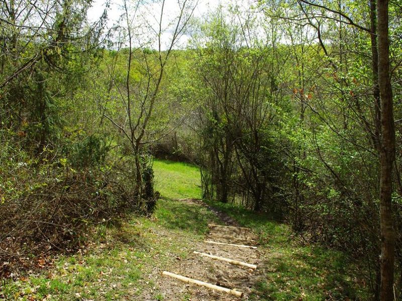 Boucle vélo n°10 Auros, Auros - photo 8