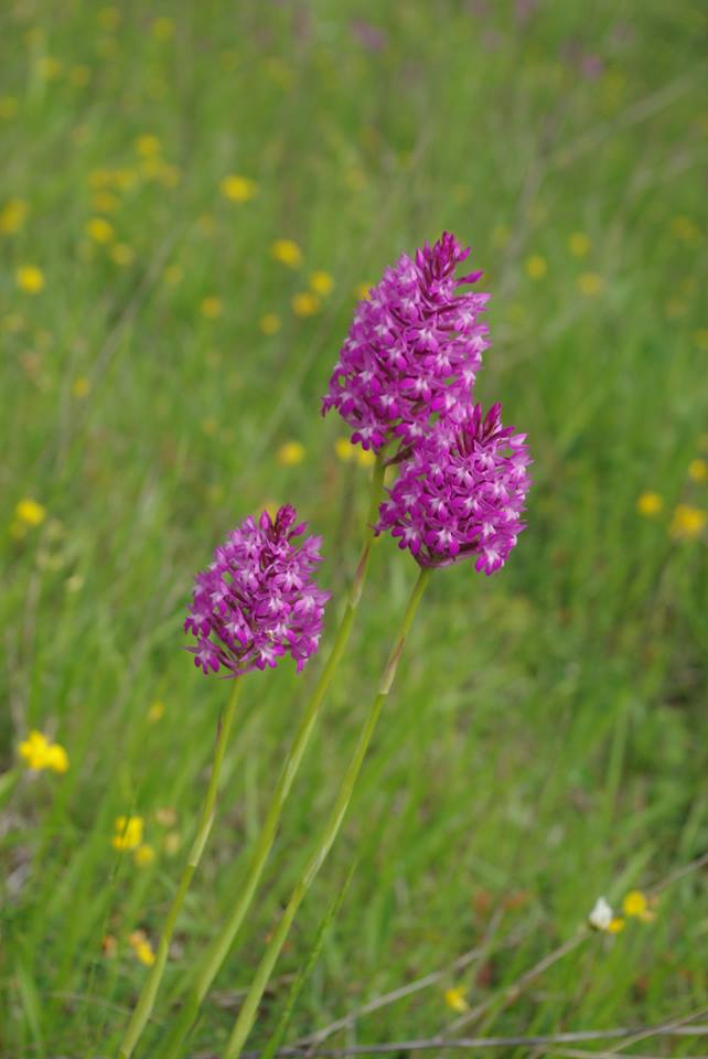Boucle vélo n°10 Auros, Auros - photo 7