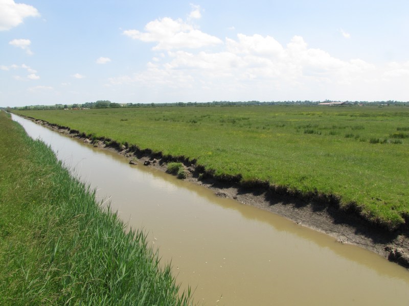 Marais de la Maréchale, Ordonnac - photo 2