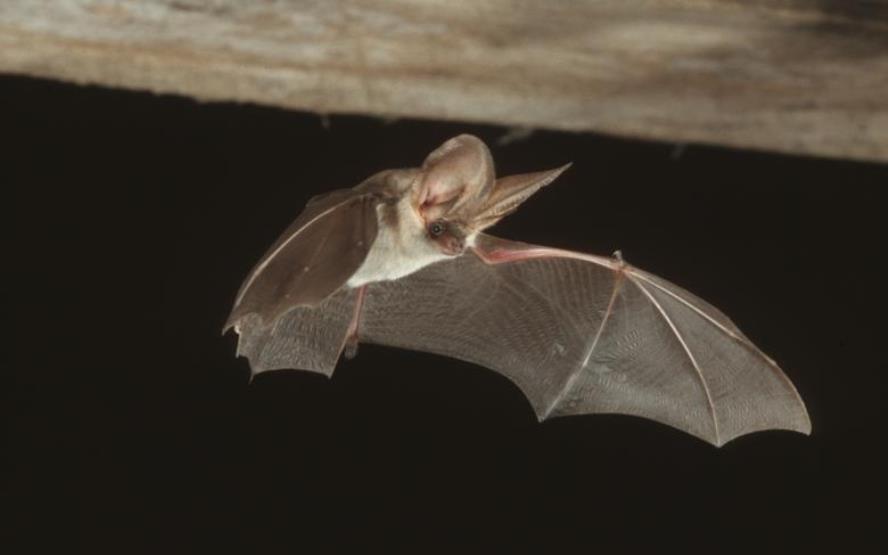 Image de présentation du lieu