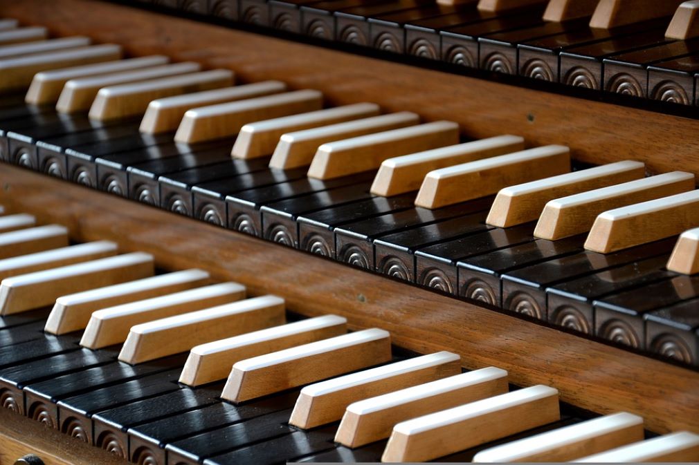Les Estivales | Les Samedis de l'Orgue — visuel événement