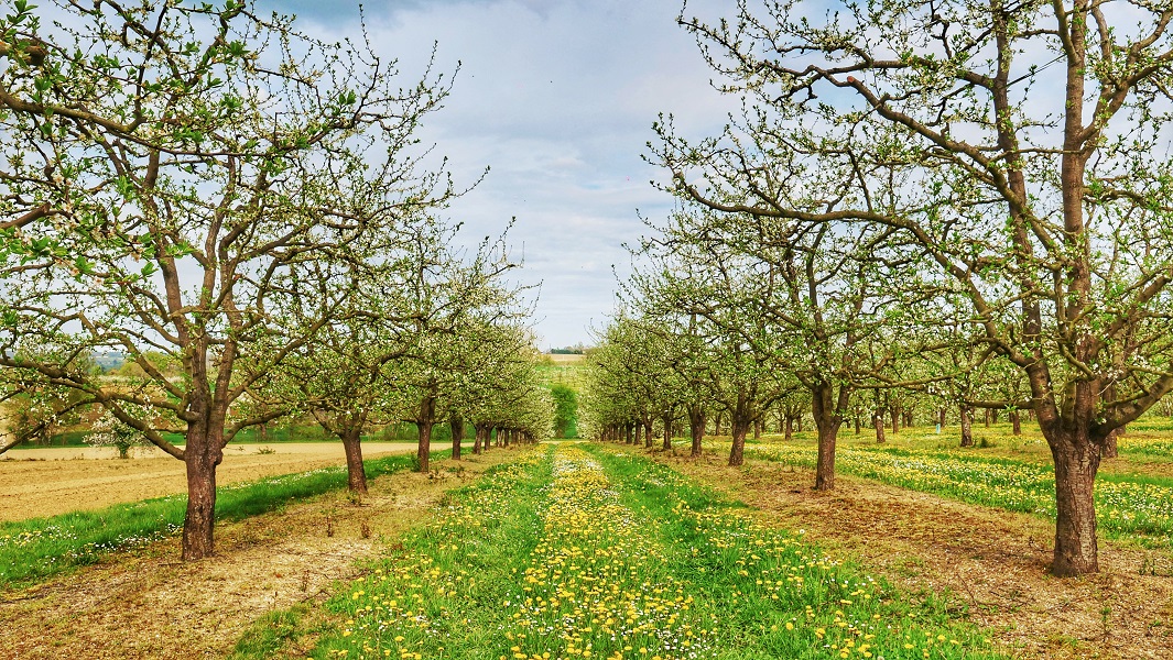 Circuit VTT 4 - Les hauts de Bourgougnague, Lauzun - photo 3