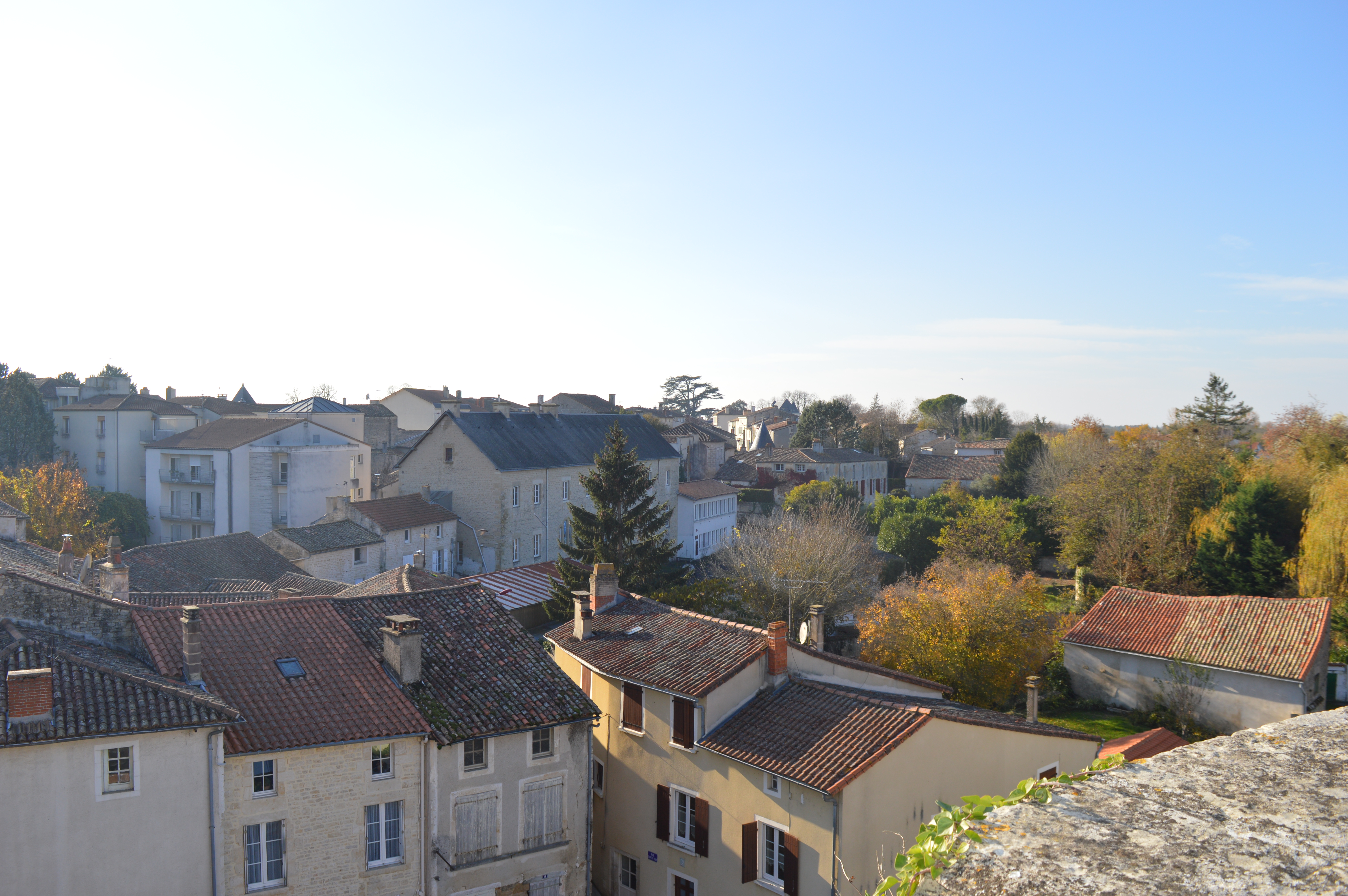 Chef-Boutonne, Petite Cité de Caractère, Chef-Boutonne - photo 4