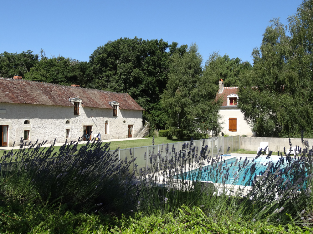 Les Vieux Chênes - Gîte Chinon, Oyré