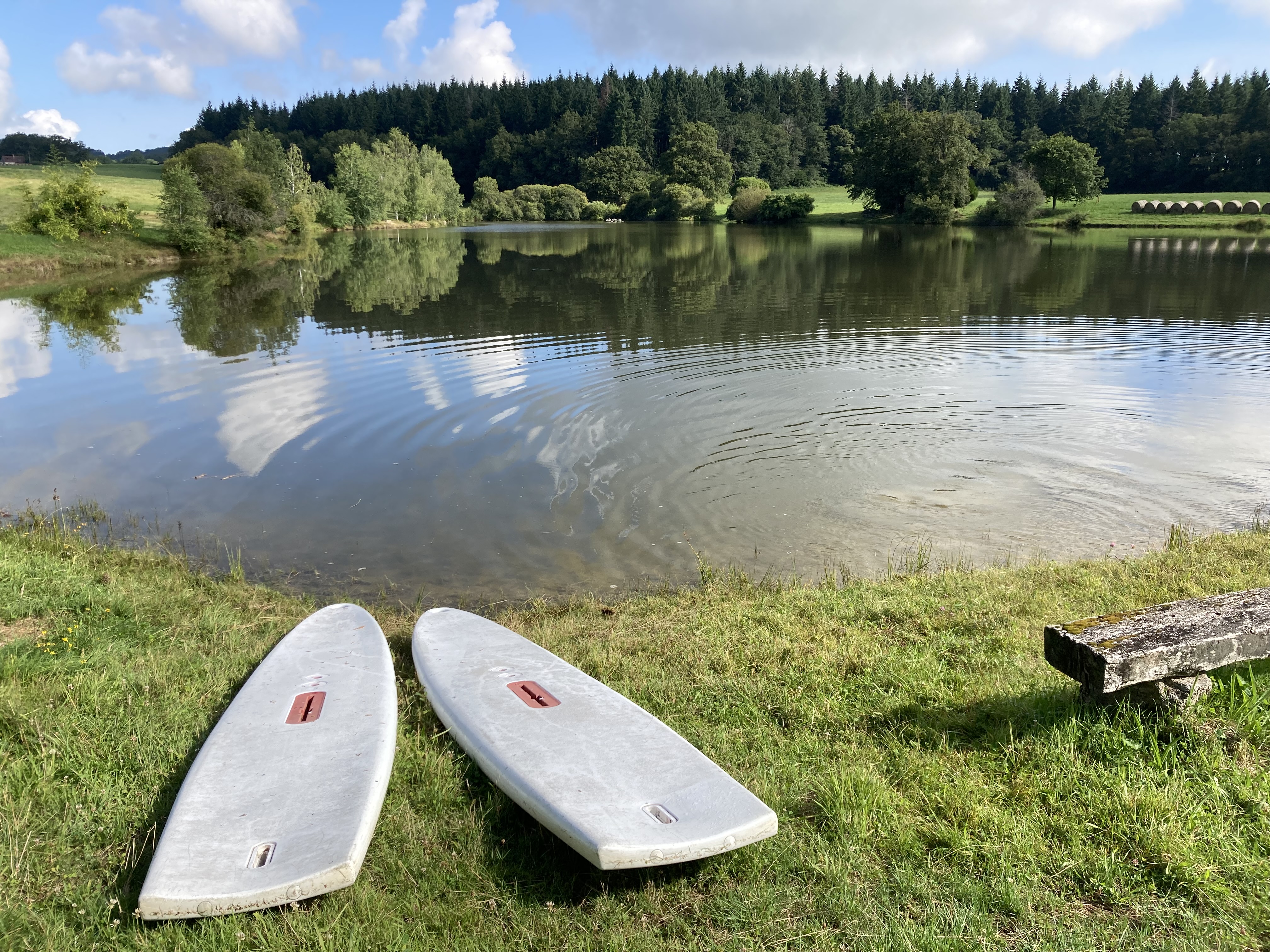 MARGUERITE - photo 3