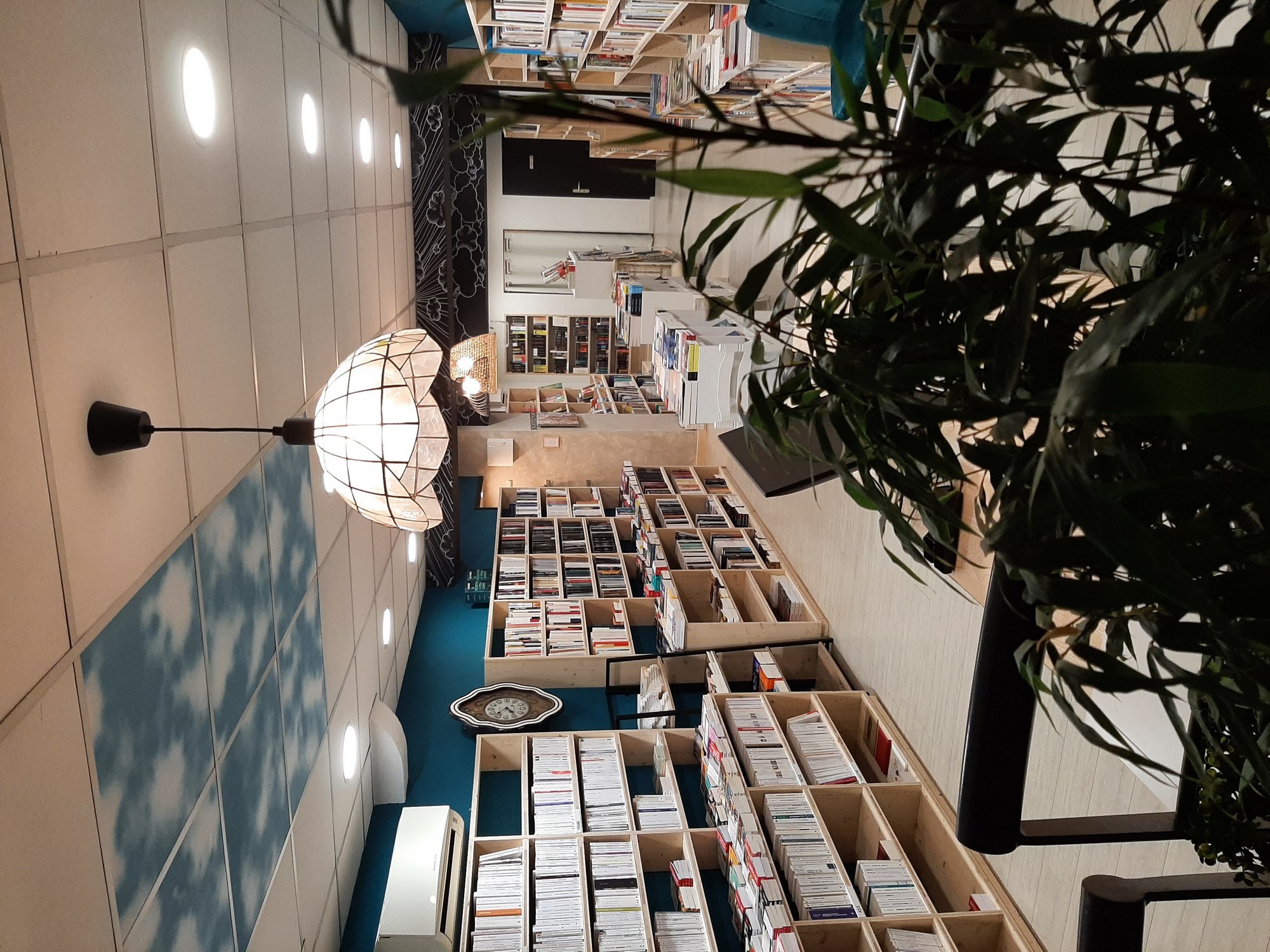 Librairie Au plafond