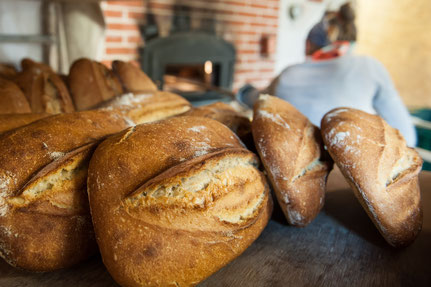 Gaec Il était une ferme - Producteur Fermier — photo 2