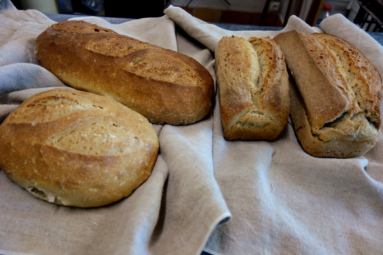 BOLAND COUCHOUD Marie - boulangerie artisanale, Lacépède - photo 14