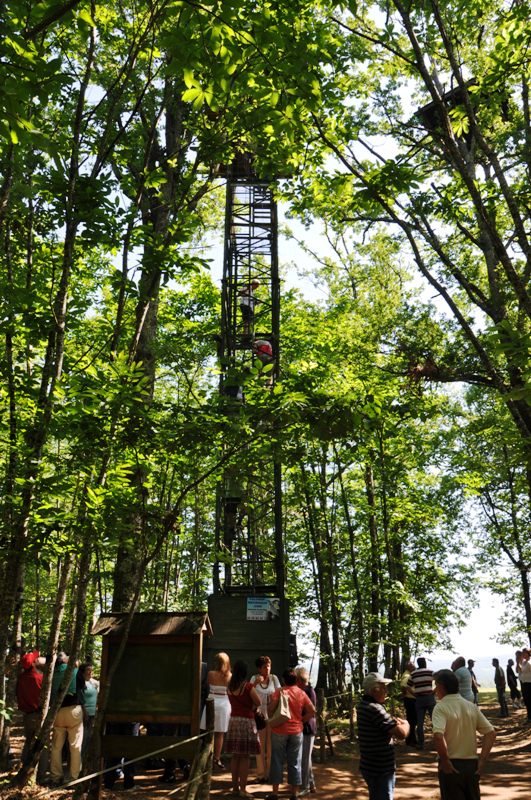 La Palombière des Gouyats - photo 5