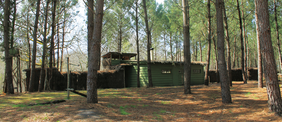 La Palombière de Louchats