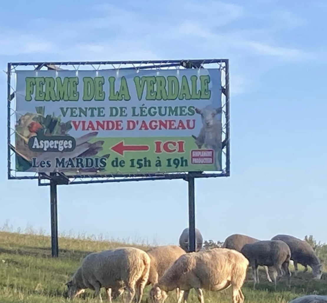 Ferme de La Verdale — photo 2