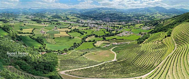 Domaine Bordaxuria