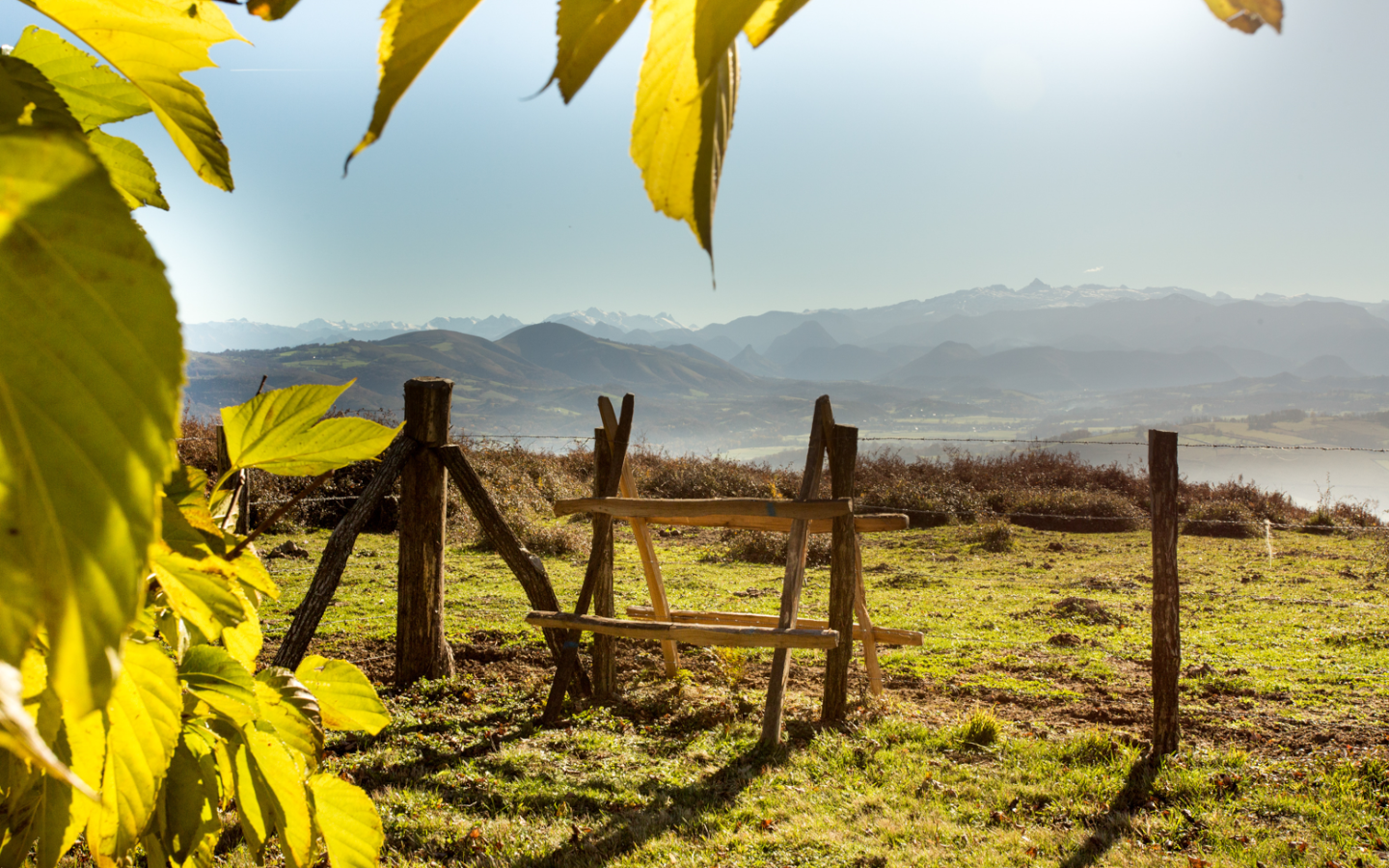 Chapelle Saint-Grégoire : panorama, Ordiarp - photo 5