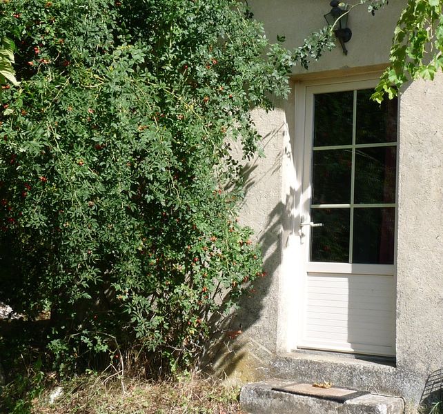 Studio les Vignes — photo 3