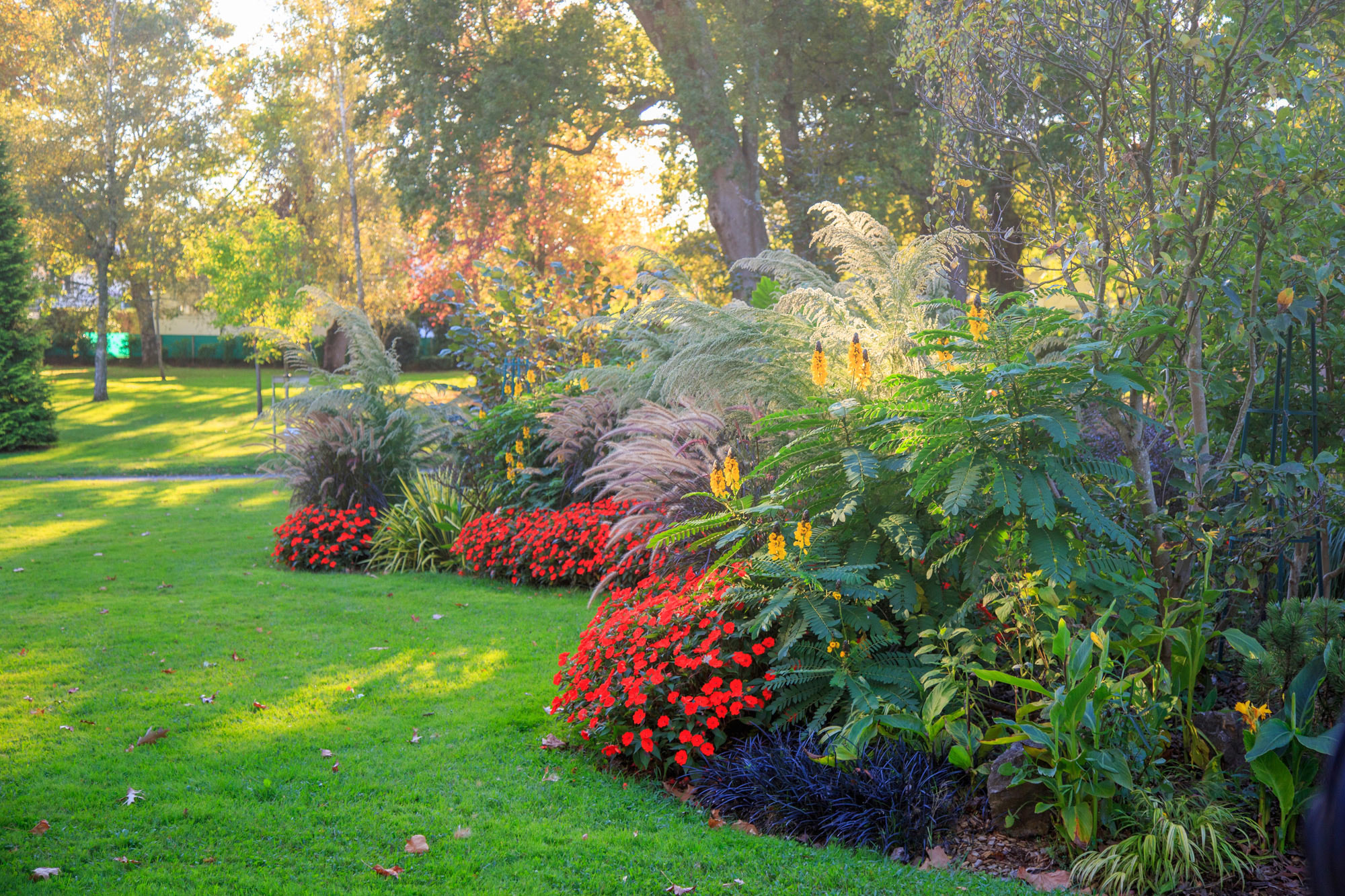 Jardin d'Ansbach, Anglet - photo 5