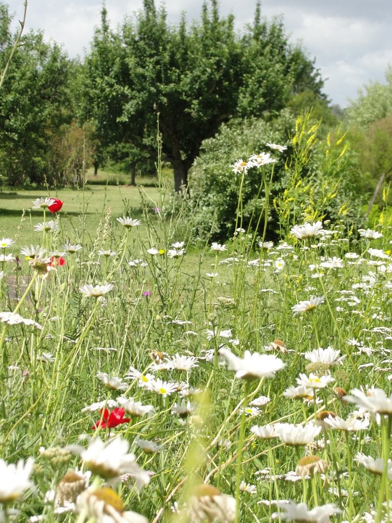 Parc Botanique du Château de Neuvic, Neuvic - photo 15