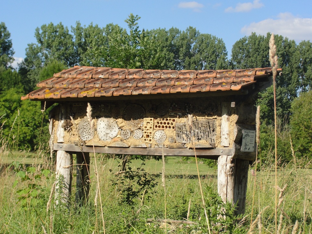 Parc Botanique du Château de Neuvic, Neuvic - photo 5