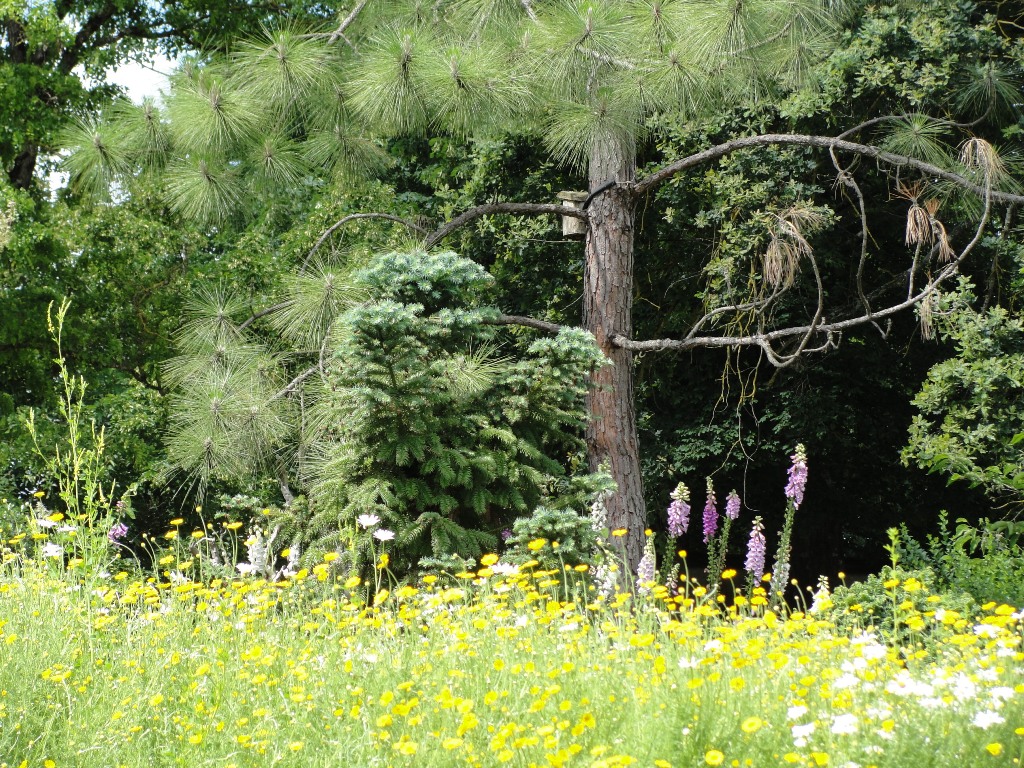 Parc Botanique du Château de Neuvic, Neuvic - photo 14