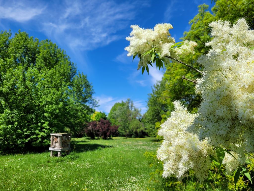 Parc Botanique du Château de Neuvic, Neuvic - photo 18