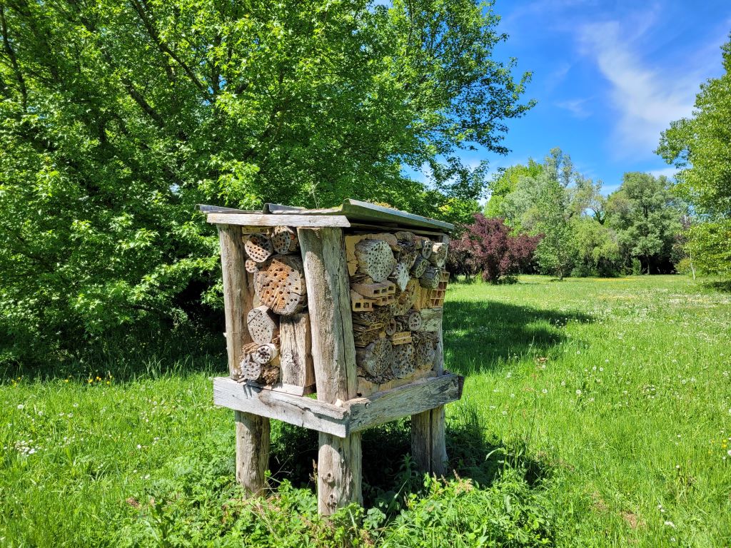 Parc Botanique du Château de Neuvic, Neuvic - photo 28