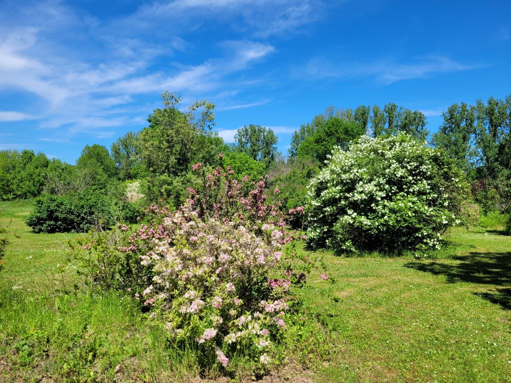 Parc Botanique du Château de Neuvic, Neuvic - photo 29