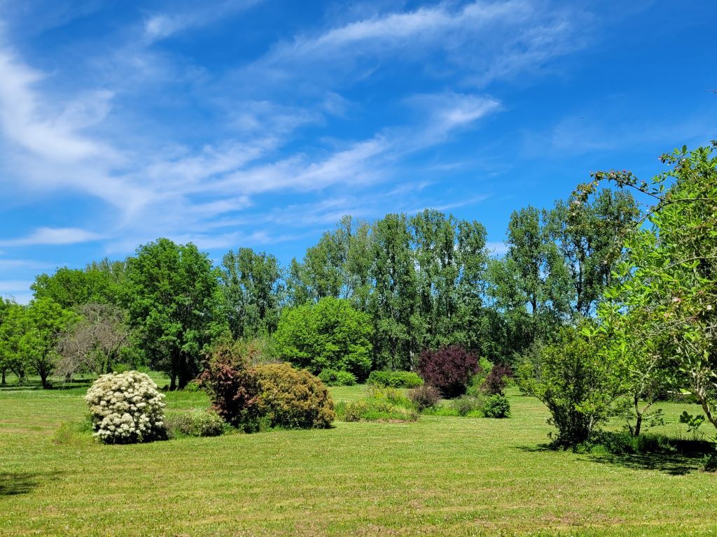 Parc Botanique du Château de Neuvic, Neuvic - photo 11