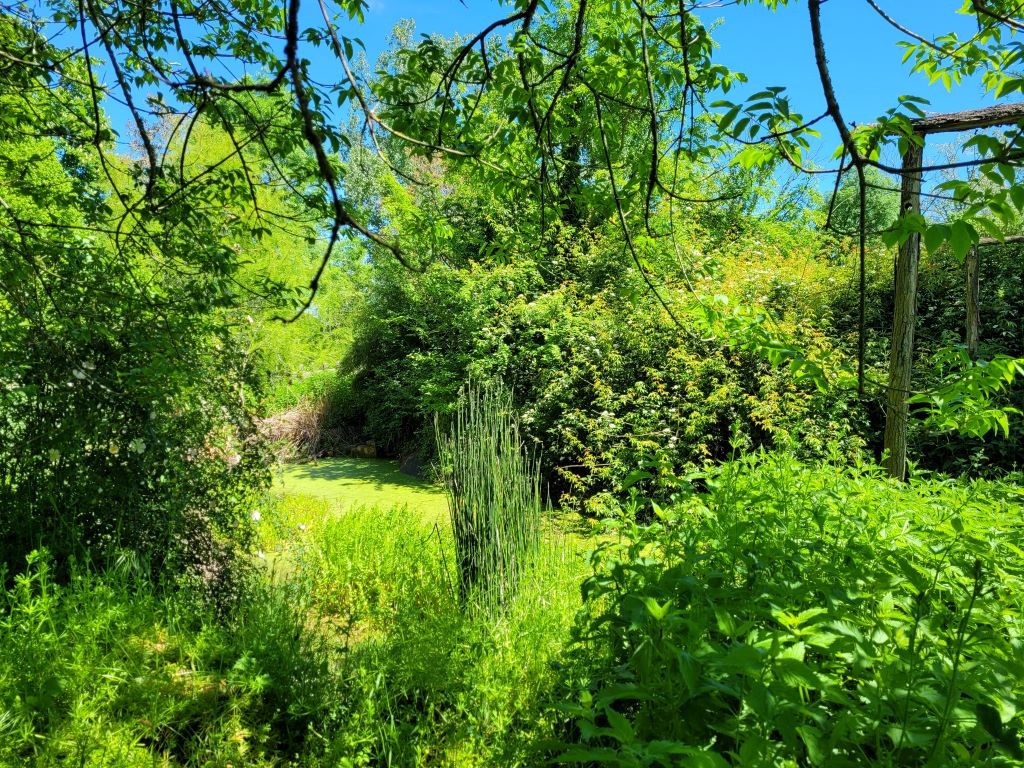 Parc Botanique du Château de Neuvic, Neuvic - photo 3