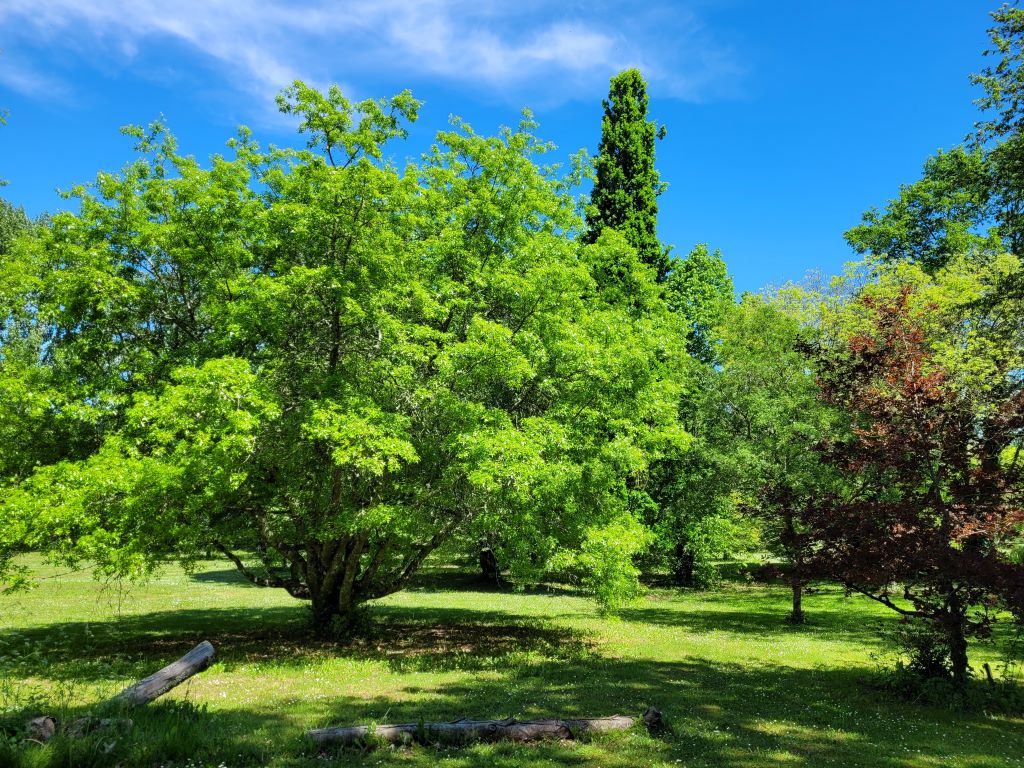 Parc Botanique du Château de Neuvic, Neuvic - photo 27